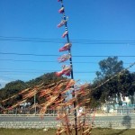 A very Tây Nguyên thingy, made entirely of bamboo, in the wind.